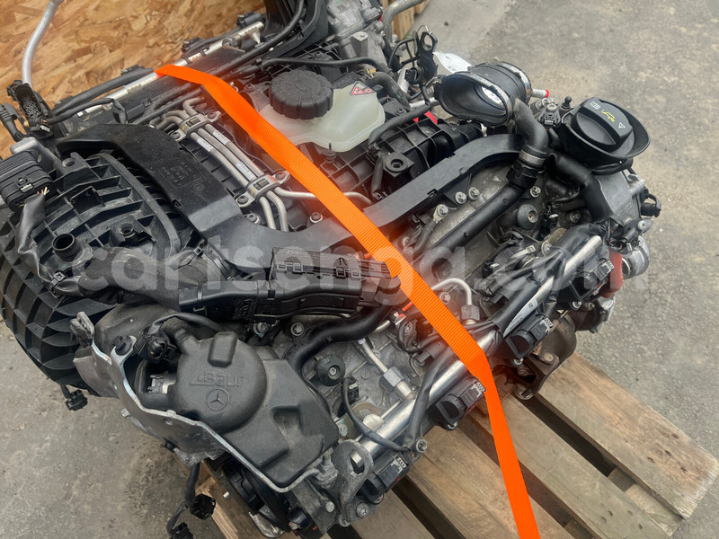 Big with watermark g