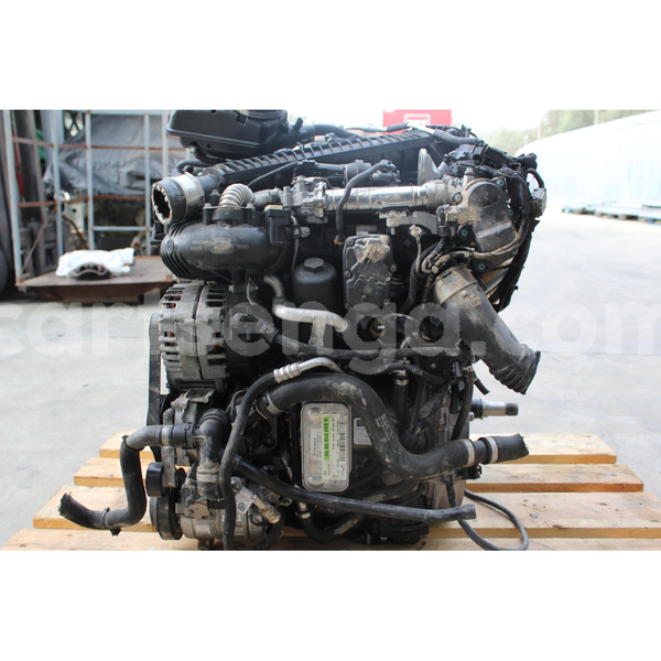 Big with watermark s l16003