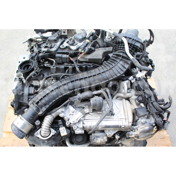 Big with watermark s l16000