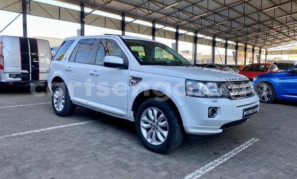Buy Used Land Rover Freelander White Car in Mbabane in Manzini