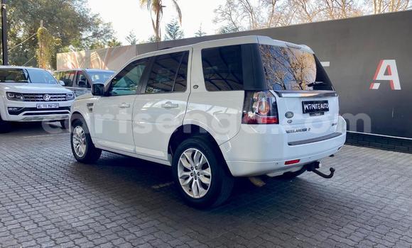 Buy Used Land Rover Freelander White Car in Mbabane in Manzini Buy Used Land Rover Freelander White Car in Mbabane in Manzini