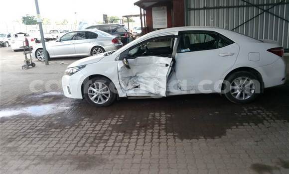 Buy Used Toyota Corolla White Car in Big Bend in Lubombo Buy Used Toyota Corolla White Car in Big Bend in Lubombo