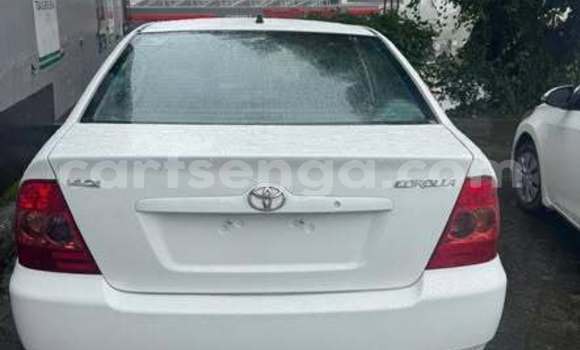 Nunua Ilio tumika Toyota Corolla Other Gari ndani ya Hluti nchini Wilaya ya Shiselweni Nunua Ilio tumika Toyota Corolla Other Gari ndani ya Hluti nchini Wilaya ya Shiselweni