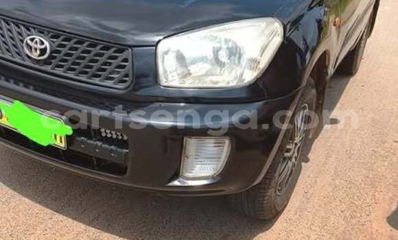 Buy Used Toyota RAV4 Other Car in Hluti in Shiselweni District Buy Used Toyota RAV4 Other Car in Hluti in Shiselweni District