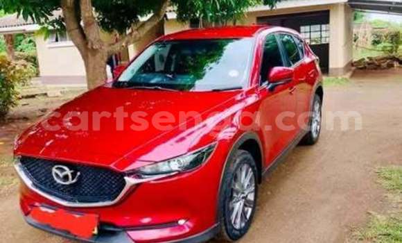 Buy Used Mazda CX-5 Other Car in Hluti in Shiselweni District Buy Used Mazda CX-5 Other Car in Hluti in Shiselweni District