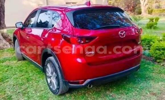 Buy Used Mazda CX-5 Other Car in Hluti in Shiselweni District Buy Used Mazda CX-5 Other Car in Hluti in Shiselweni District
