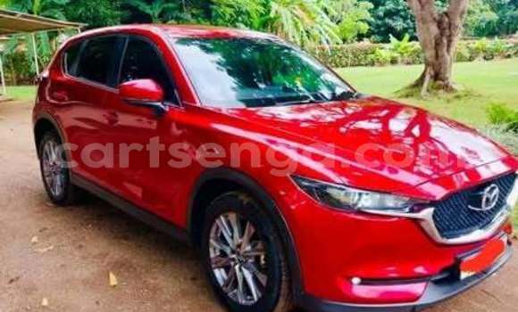 Buy Used Mazda CX-5 Other Car in Hluti in Shiselweni District Buy Used Mazda CX-5 Other Car in Hluti in Shiselweni District