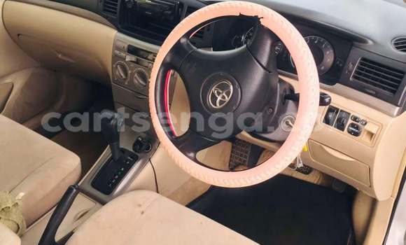 Buy Used Toyota Runx Other Car in Manzini in Manzini Buy Used Toyota Runx Other Car in Manzini in Manzini