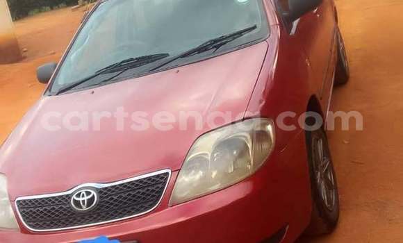 Buy Used Toyota Corolla Red Car in Mbabane in Manzini Buy Used Toyota Corolla Red Car in Mbabane in Manzini