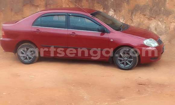 Buy Used Toyota Corolla Red Car in Mbabane in Manzini Buy Used Toyota Corolla Red Car in Mbabane in Manzini
