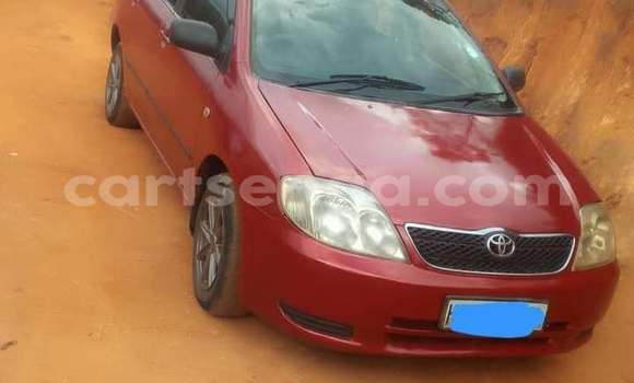 Buy Used Toyota Corolla Red Car in Mbabane in Manzini Buy Used Toyota Corolla Red Car in Mbabane in Manzini