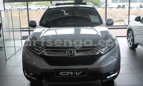 Medium with watermark 1 copy