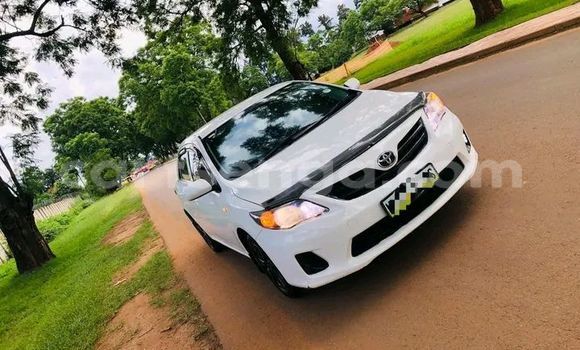 Buy Used Toyota Corolla White Car in Mbabane in Manzini Buy Used Toyota Corolla White Car in Mbabane in Manzini