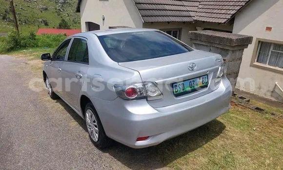 Buy Used Toyota Corolla Other Car in Mbabane in Manzini Buy Used Toyota Corolla Other Car in Mbabane in Manzini