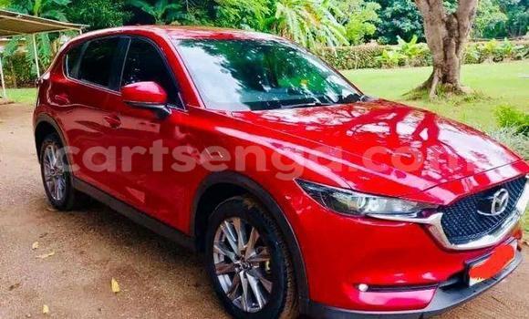 Buy Used Mazda CX-5 Red Car in Mbabane in Manzini Buy Used Mazda CX-5 Red Car in Mbabane in Manzini