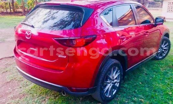 Buy Used Volkswagen Golf Red Car in Mankayane in Manzini Buy Used Volkswagen Golf Red Car in Mankayane in Manzini