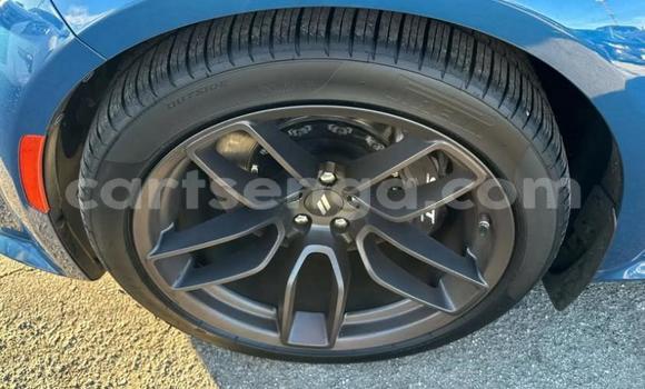 Nunua Ilio tumika Dodge Charger Blue Gari ndani ya Tabankulu nchini Wilaya ya Lubombo Nunua Ilio tumika Dodge Charger Blue Gari ndani ya Tabankulu nchini Wilaya ya Lubombo