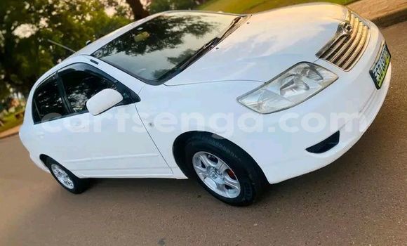 Buy Used Toyota Corolla White Car in Manzini in Manzini Buy Used Toyota Corolla White Car in Manzini in Manzini