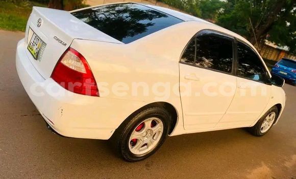 Buy Used Toyota Corolla White Car in Manzini in Manzini Buy Used Toyota Corolla White Car in Manzini in Manzini