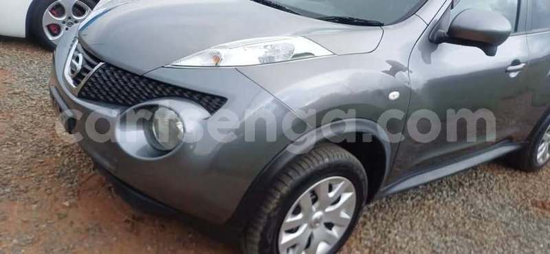 Big with watermark nissan juke manzini manzini 29808