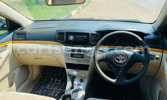 Buy Used Toyota Runx Other Car in Manzini in Manzini Buy Used Toyota Runx Other Car in Manzini in Manzini