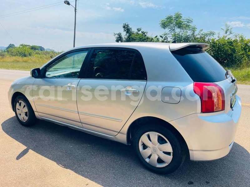 Big with watermark toyota runx manzini manzini 29812