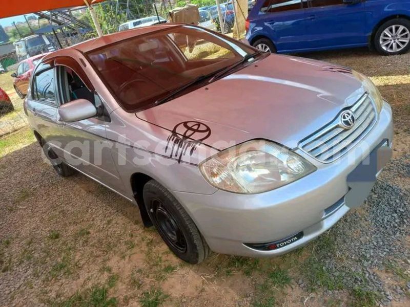Big with watermark toyota corolla manzini manzini 29815