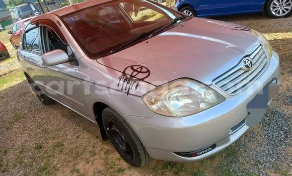Buy Used Toyota Corolla Other Car in Manzini in Manzini Buy Used Toyota Corolla Other Car in Manzini in Manzini
