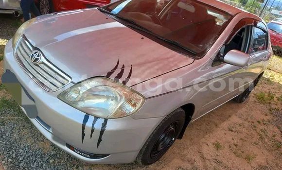 Buy Used Toyota Corolla Other Car in Manzini in Manzini Buy Used Toyota Corolla Other Car in Manzini in Manzini