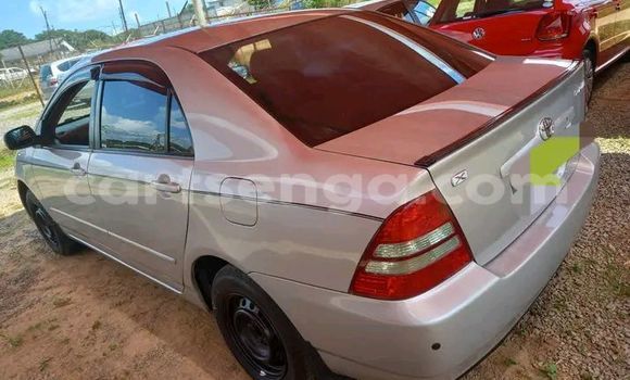 Buy Used Toyota Corolla Other Car in Manzini in Manzini Buy Used Toyota Corolla Other Car in Manzini in Manzini
