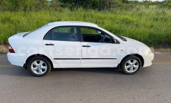 Nunua Ilio tumika Toyota Corolla White Gari ndani ya Manzini nchini Manzini Nunua Ilio tumika Toyota Corolla White Gari ndani ya Manzini nchini Manzini