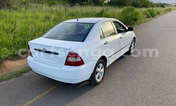 Nunua Ilio tumika Toyota Corolla White Gari ndani ya Manzini nchini Manzini Nunua Ilio tumika Toyota Corolla White Gari ndani ya Manzini nchini Manzini