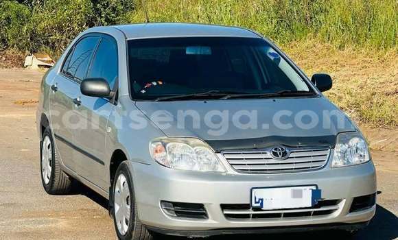 Buy Used Toyota Corolla Other Car in Manzini in Manzini