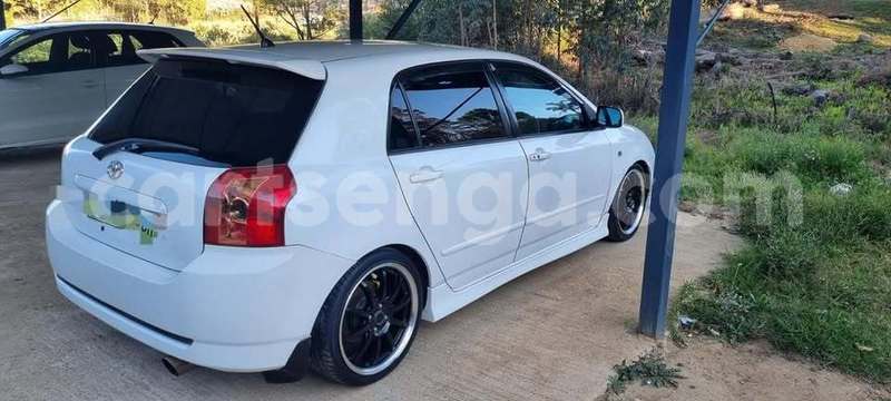 Big with watermark toyota runx manzini manzini 29839