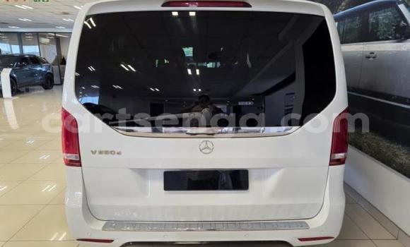 Buy Used Mercedes‒Benz V-klasse White Car in Manzini in Manzini Buy Used Mercedes‒Benz V-klasse White Car in Manzini in Manzini