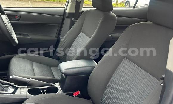 Buy Used Toyota Corolla White Car in Manzini in Manzini Buy Used Toyota Corolla White Car in Manzini in Manzini