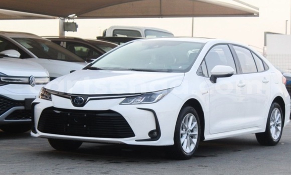Buy Used Toyota Corolla White Car in Mondi in Hhohho