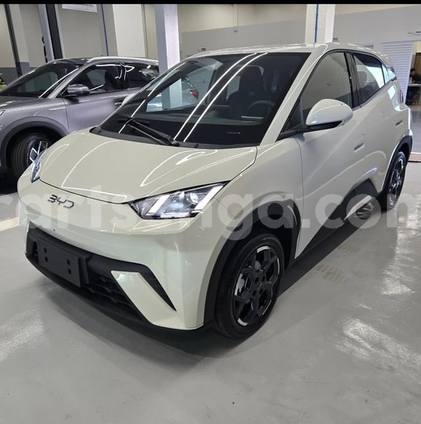 Big with watermark byd seagull hhohho mondi 29884