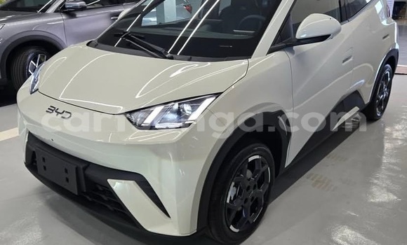 Buy Used BYD Seagull White Car in Mondi in Hhohho