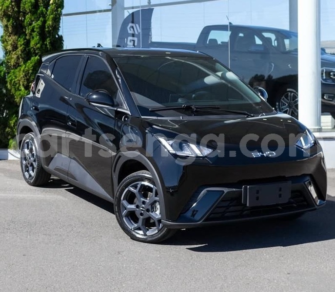 Big with watermark byd seagull hhohho mondi 29884