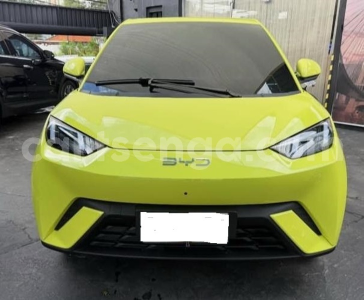 Big with watermark byd seagull hhohho mondi 29884