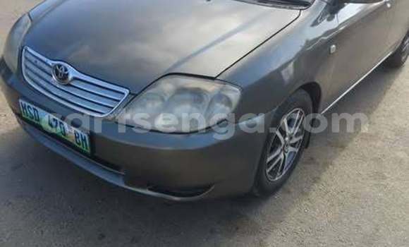 Buy Used Toyota Corolla Other Car in Hlatikulu in Shiselweni District Buy Used Toyota Corolla Other Car in Hlatikulu in Shiselweni District