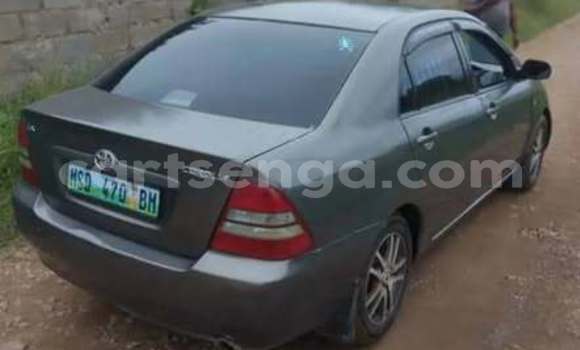 Buy Used Toyota Corolla Other Car in Hlatikulu in Shiselweni District Buy Used Toyota Corolla Other Car in Hlatikulu in Shiselweni District