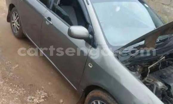 Buy Used Toyota Corolla Other Car in Hlatikulu in Shiselweni District Buy Used Toyota Corolla Other Car in Hlatikulu in Shiselweni District