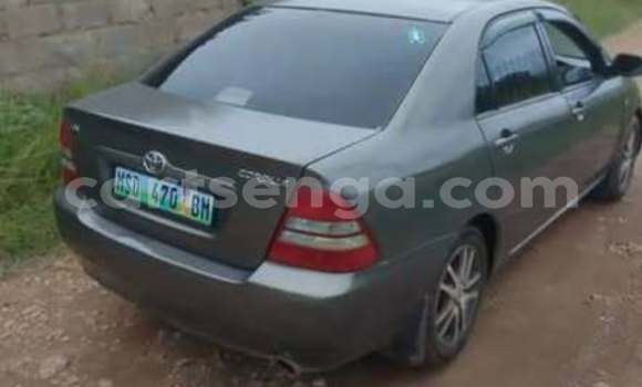 Buy Used Toyota Corolla Other Car in Hlatikulu in Shiselweni District Buy Used Toyota Corolla Other Car in Hlatikulu in Shiselweni District