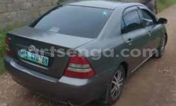 Buy Used Toyota Corolla Other Car in Matsapha in Manzini