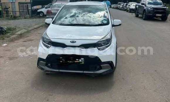 Buy Used Kia Picanto Other Car in Kwaluseni in Manzini Buy Used Kia Picanto Other Car in Kwaluseni in Manzini