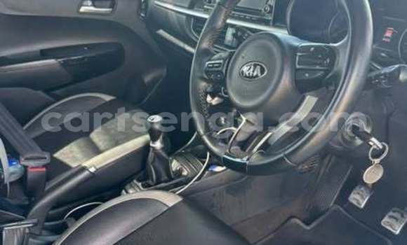 Buy Used Kia Picanto Other Car in Kwaluseni in Manzini Buy Used Kia Picanto Other Car in Kwaluseni in Manzini