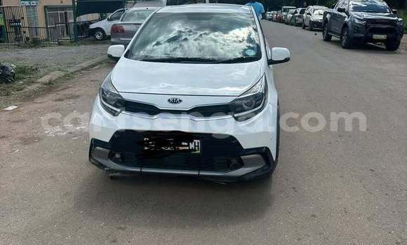 Buy Used Kia Picanto Other Car in Kwaluseni in Manzini Buy Used Kia Picanto Other Car in Kwaluseni in Manzini