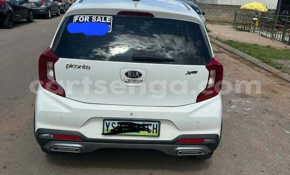 Buy Used Kia Picanto Other Car in Kwaluseni in Manzini Buy Used Kia Picanto Other Car in Kwaluseni in Manzini